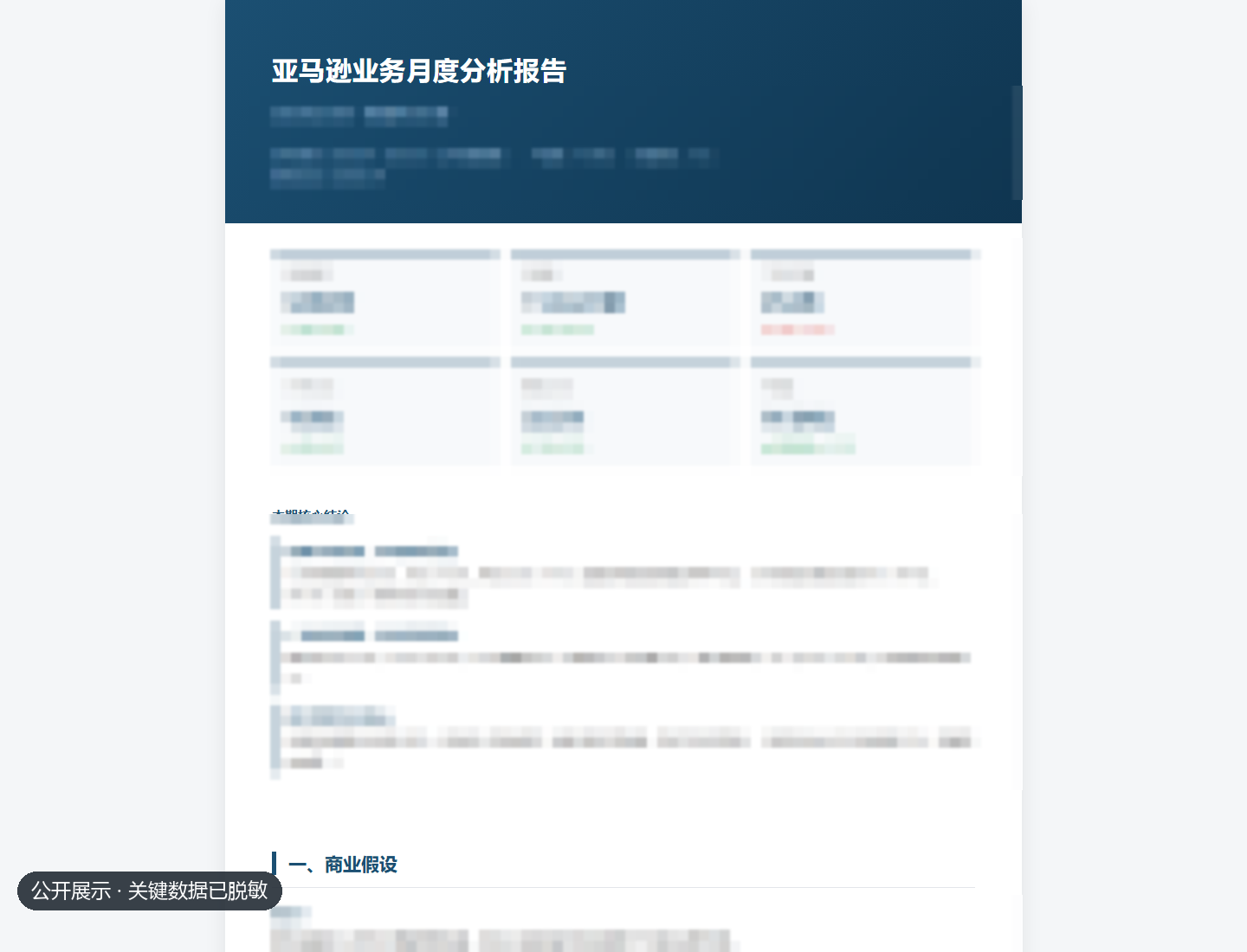 已脱敏的Amazon月度分析报告